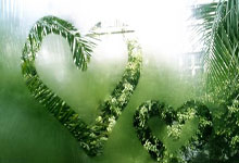 小奶龙-安卓小奶龙,安卓多开,微信多开,微信分身,一键转发,安卓新品,安卓多开行业天花板